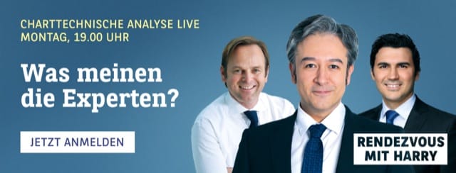 Website-Banner Template von BNP Paribas